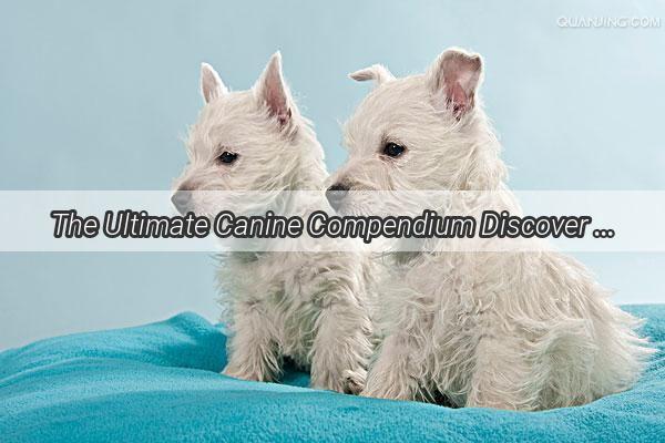 The Ultimate Canine Compendium Discover the World of Pet Dog Breeds